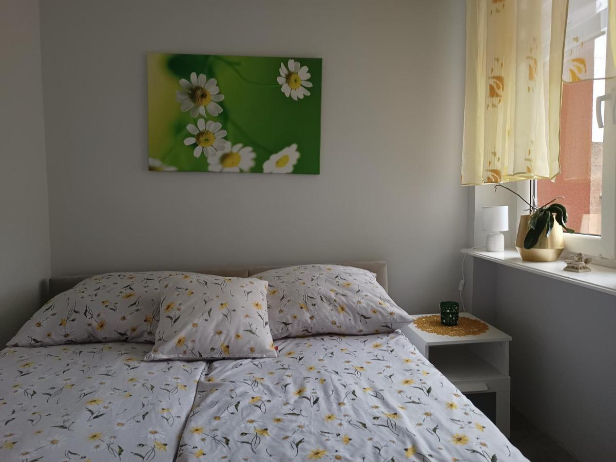 Szmaragdowy Apartament Przy Ulicy Opolskiej Tarnowskie Góry Exteriör bild