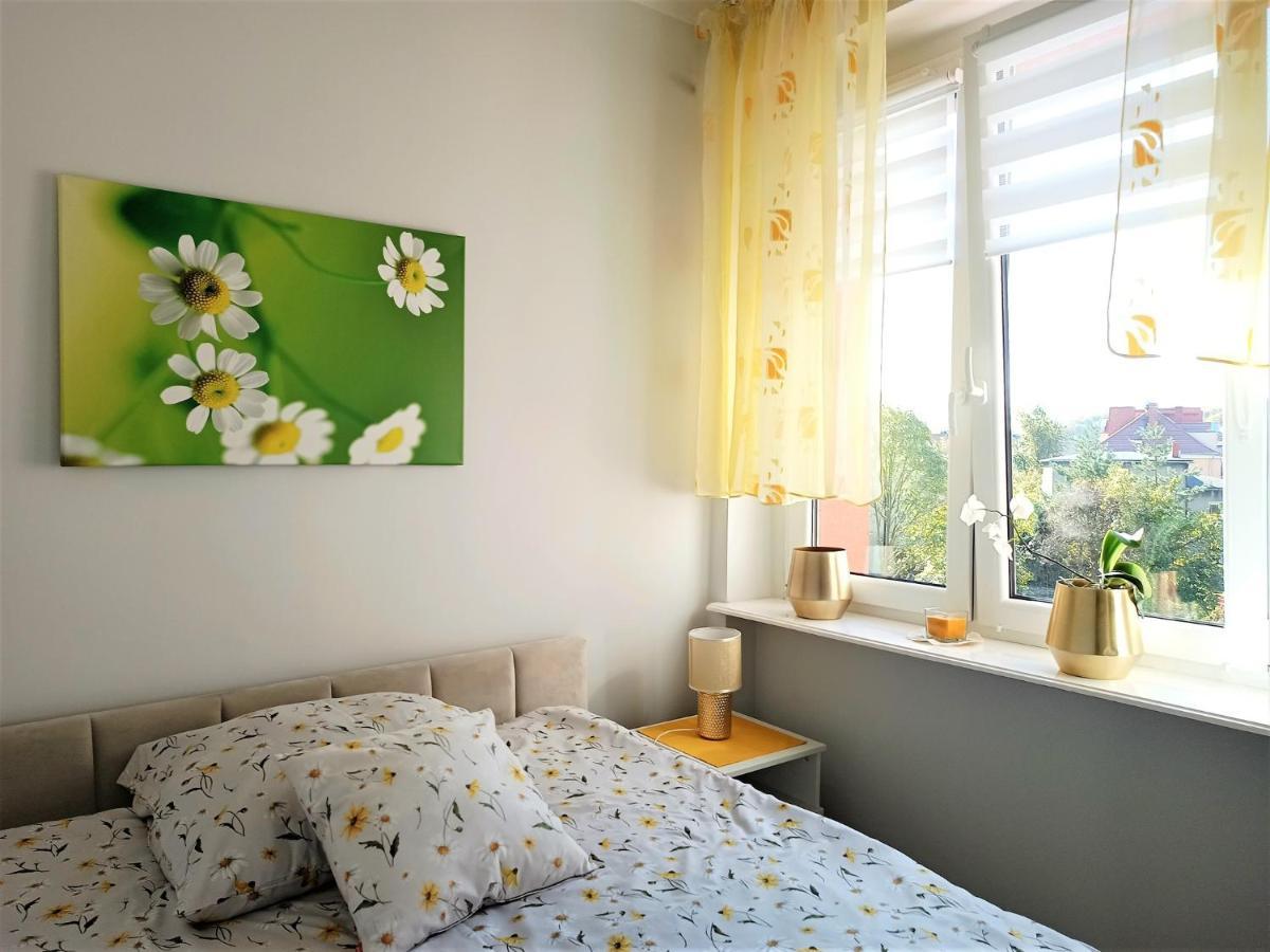 Szmaragdowy Apartament Przy Ulicy Opolskiej Tarnowskie Góry Exteriör bild