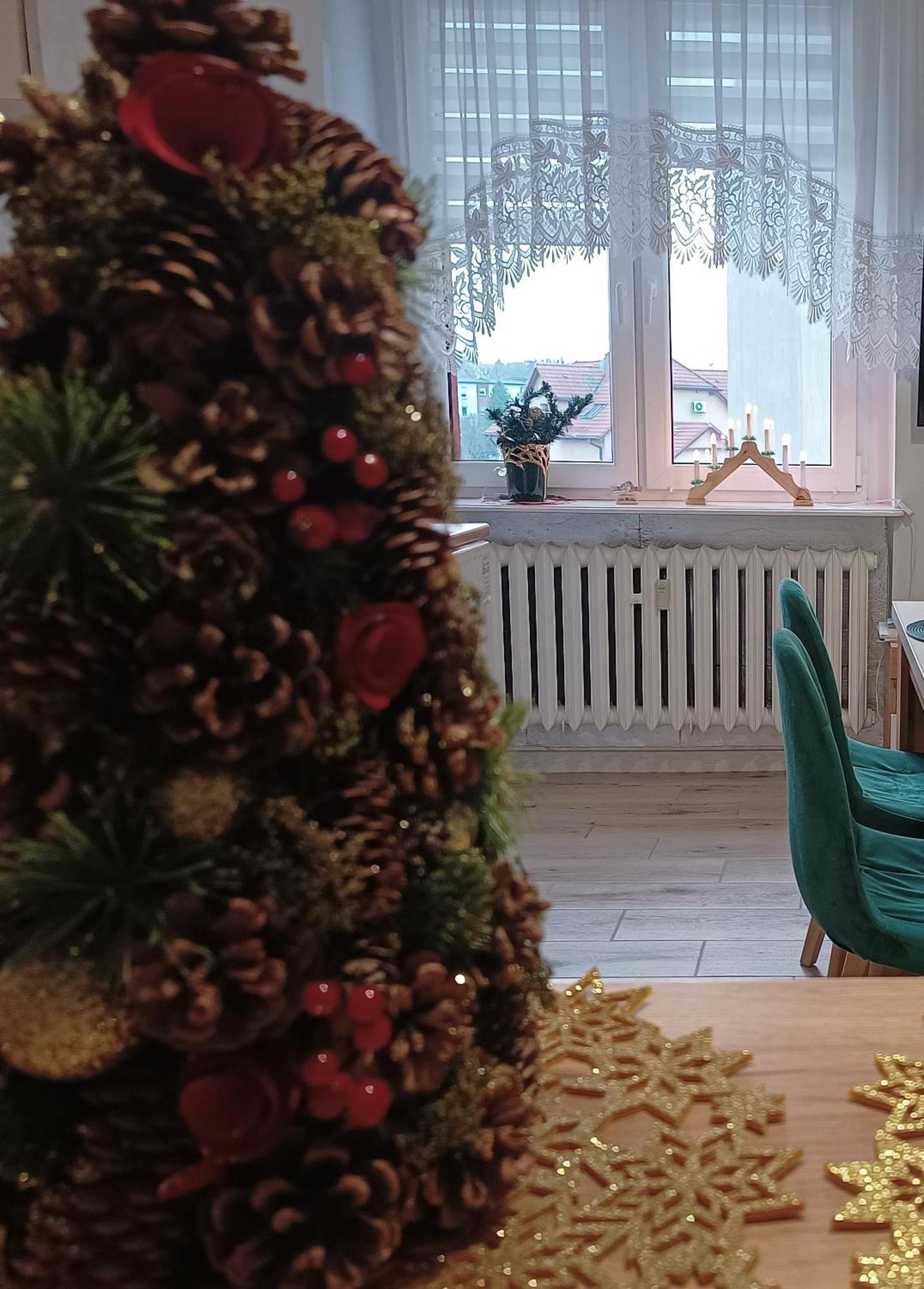 Szmaragdowy Apartament Przy Ulicy Opolskiej Tarnowskie Góry Exteriör bild
